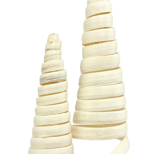 Floristik24 Cane Cone bleached 25 pcs