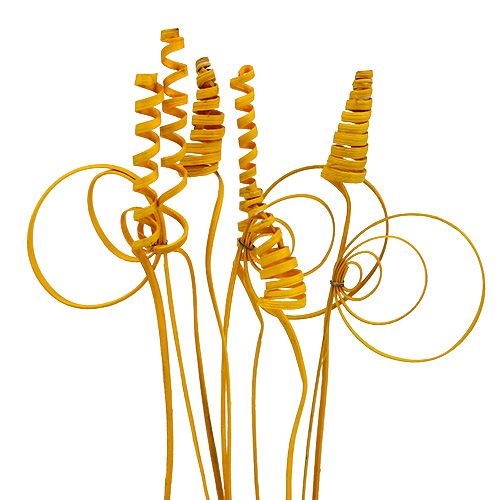 Floristik24 Cane assortment mini golden yellow 75 pcs