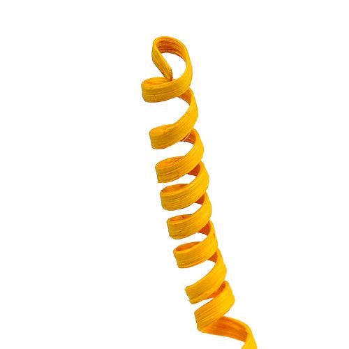 Floristik24 Cane Spring mini golden yellow 25 pcs