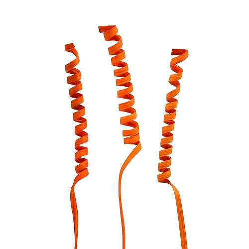 Floristik24 Cane Spring mini Orange 25pcs