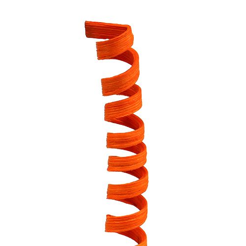 Product Cane Spring mini Orange 25pcs