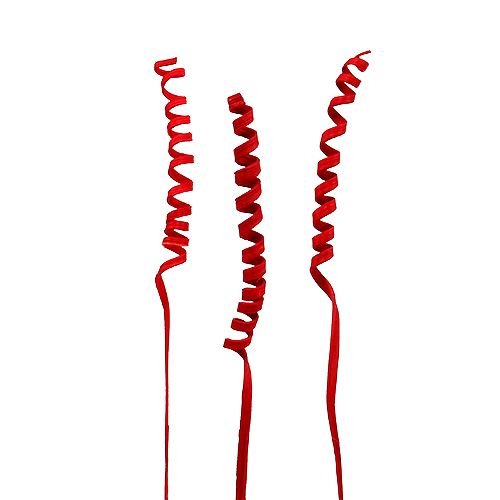 Floristik24 Cane Spring mini red 25pcs