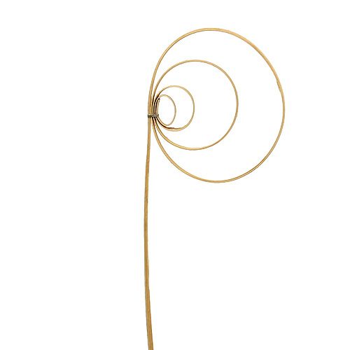 Floristik24 Cane Coil Natural 25 pcs.
