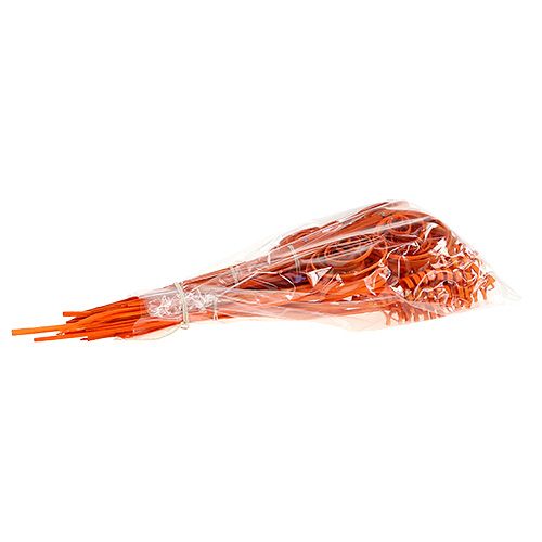 Product Cane assortment mini orange 75 pieces