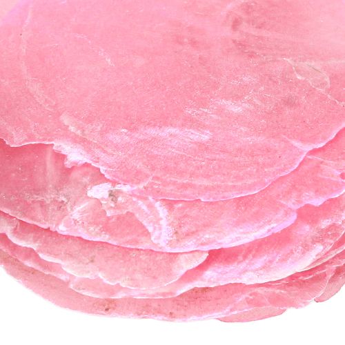 Product Capiz Shell Decoration in Pink Berry 5cm–8cm Mix 60 pcs