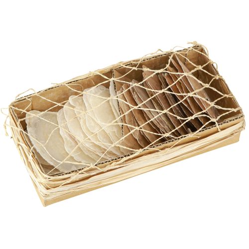 Product Capiz discs in natural gold shell shells 60 pcs