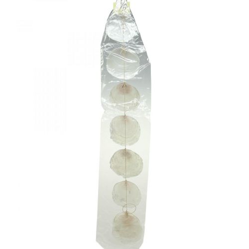 Floristik24 Capiz shell garland mother-of-pearl, maritime decoration 100cm