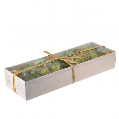 Floristik24 Capiz Mother of Pearl Shell Mother of Pearl Discs Sea Snail Shell Green 3.5–9.5cm 750g