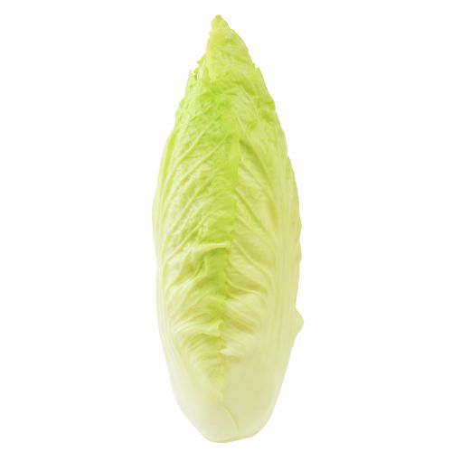 Chicory artificial food dummy Real Touch 17cm