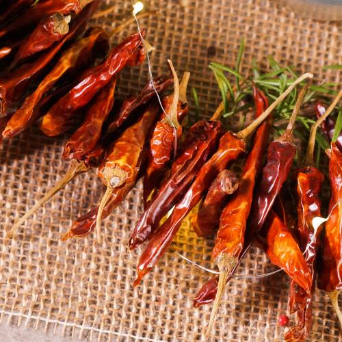 Floristik24 Chilis red short chili 250g