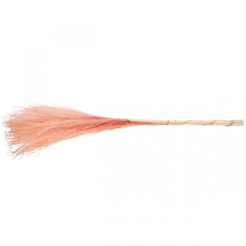 Product Chinese reed light pink dried grasses Miscanthus H75cm 10 pcs