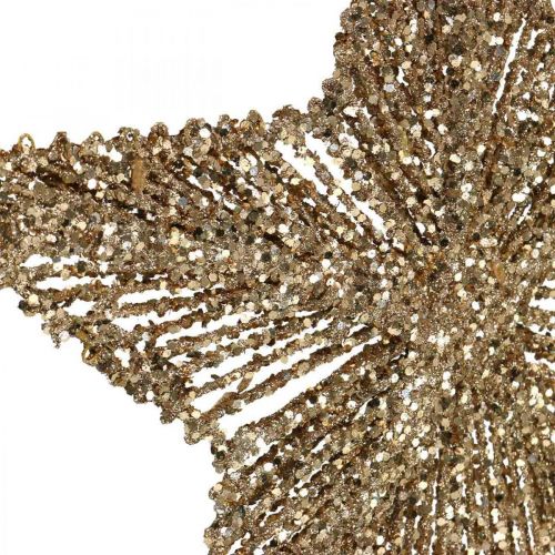 Product Christmas tree decoration, Advent decoration, star pendant Golden W20.5cm 6 pcs