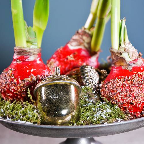 Floristik24 Christmas tree decorations acorn to hang metal glass gold 11cm 4pcs