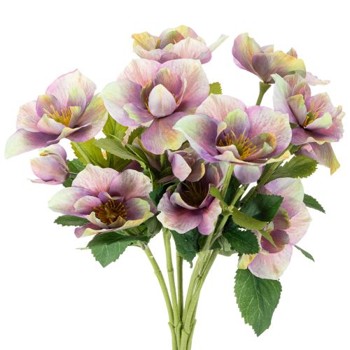 Artificial Hellebore Bouquet with Purple Blossoms 35cm Set of 6

```html
<h2>Artificial Hellebore Bouquet for Indoor Decoration</h2>

<p>
This artificial hellebore bouquet features six beautifully detailed stems with delicate purple blossoms. Standing at 