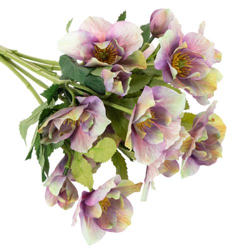 Artificial Hellebore Bouquet with Purple Blossoms 35cm Set of 6

```html
<h2>Artificial Hellebore Bouquet for Indoor Decoration</h2>

<p>
This artificial hellebore bouquet features six beautifully detailed stems with delicate purple blossoms. Standing at  | Floristik24.co.uk