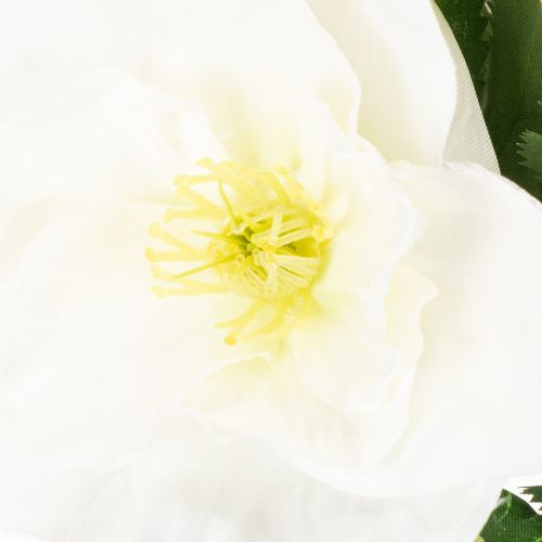 Artificial White Christmas Rose Bundle for Festive Home Decoration | Floristik24.co.uk