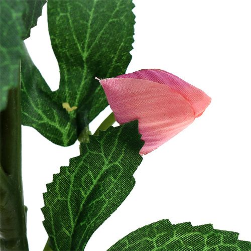 Floristik24 Christmas Rose Pink L22cm 1pc