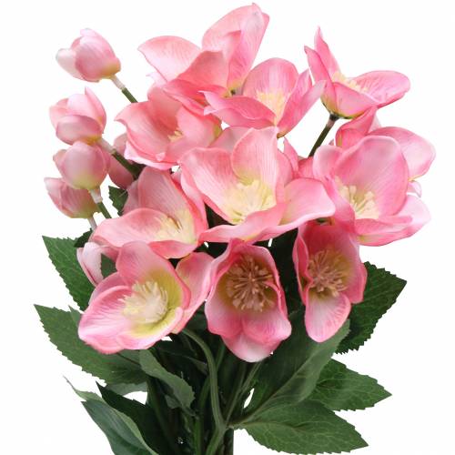 Floristik24 Bouquet Christmas Rose Pink 29cm 4pcs