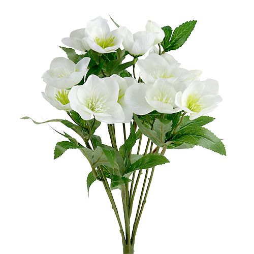 Floristik24 Christmas rose bouquet 39cm cream