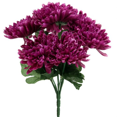Floristik24 Chrysanthemum eggplant with 7 flowers