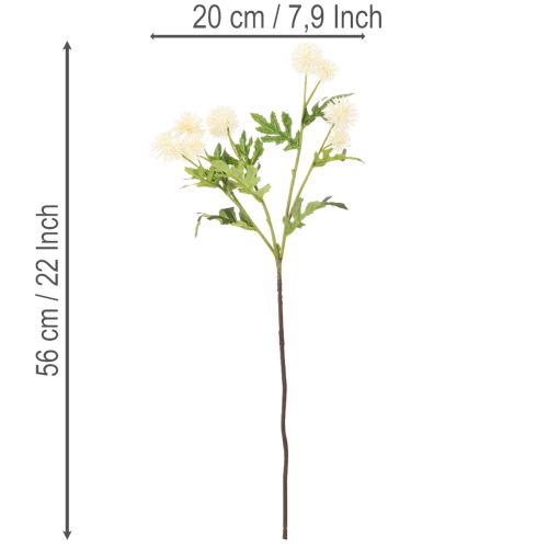 Artificial Chrysanthemum Bundle Cream White 56cm Set of 4 | Floristik24.co.uk