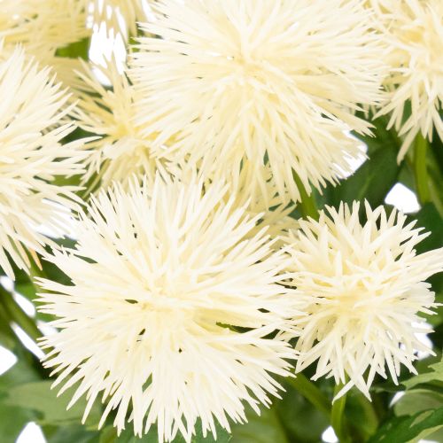 Artificial Chrysanthemum Bundle Cream White 56cm Set of 4 | Floristik24.co.uk