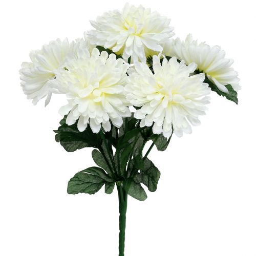 Chrysanthemum white with 7 flowers