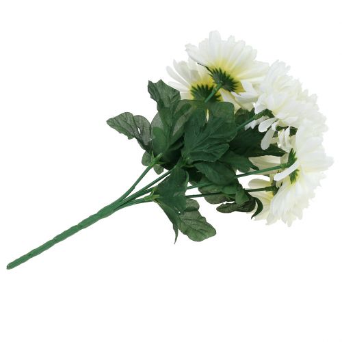 Floristik24 Chrysanthemum white with 7 flowers