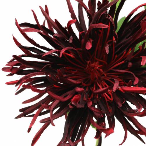 Product Chrysanthemum Dark Red 73cm