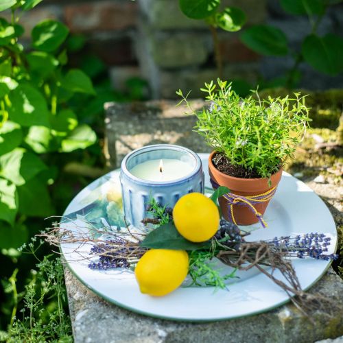 Floristik24 Citronella candle in a pot scented candle lemon Ø10.5cm H8cm