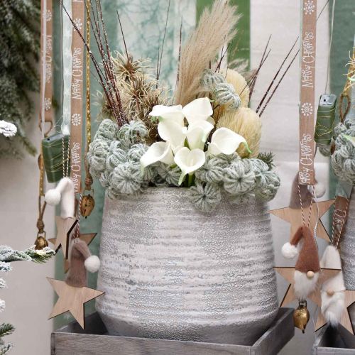 Product Clematis Green snowed 43cm 3 pcs