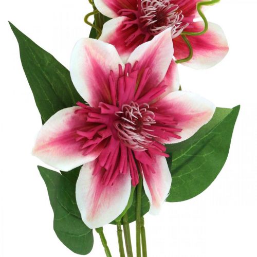 Product Clematis branch with 5 flowers, artificial flower, decorative branch pink, white L84cm