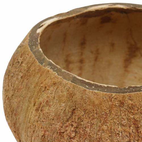 Product Coconut shell natural set of 5