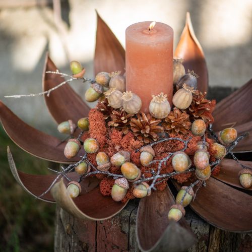 Dried coconut leaves Natural decor 60cm 5pcs | Floristik24.co.uk