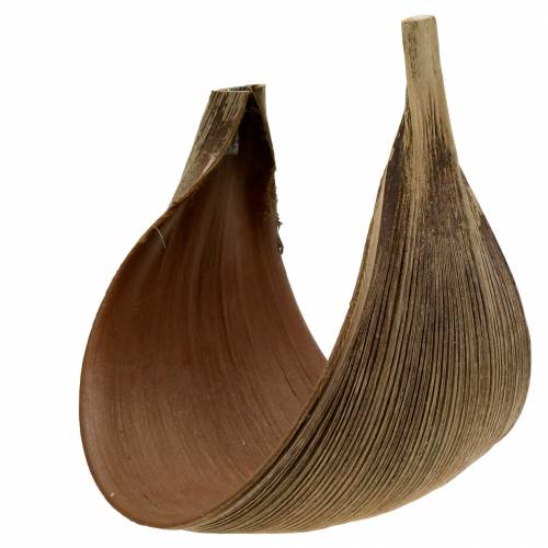 Product Coconut palm leaf Galara curved