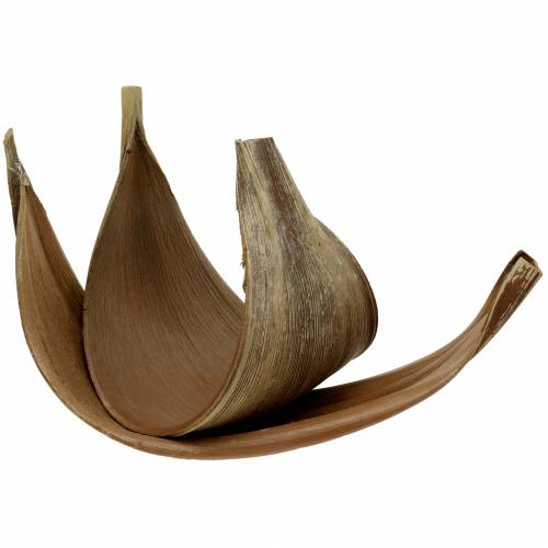 Product Coconut palm leaf Galara curved