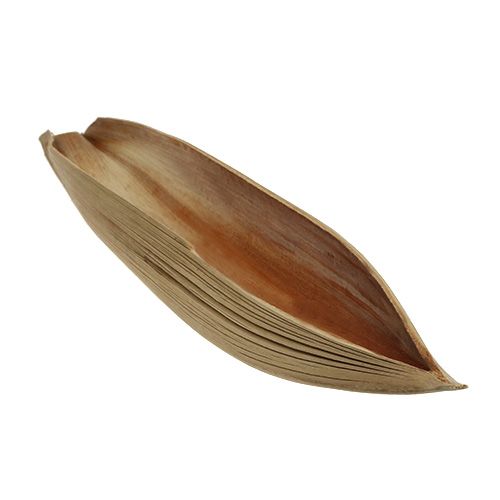 Floristik24 Coconut shell palm leaf 60-80cm nature