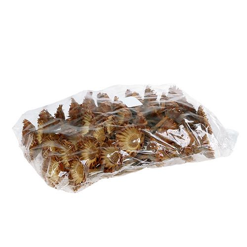 Product Compacta Rosette Light 50 pcs