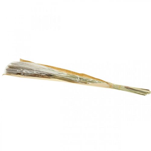 Product Dry grass pampas grass natural bunch 80cm