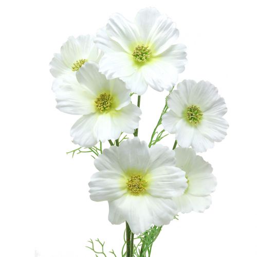 Product Cosmea white 77cm 3pcs