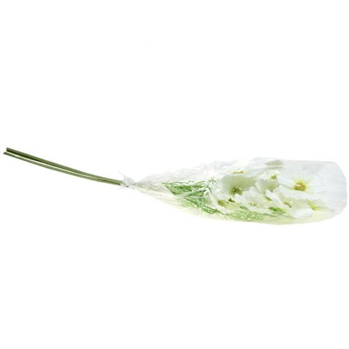 Floristik24 Cosmea white 77cm 3pcs