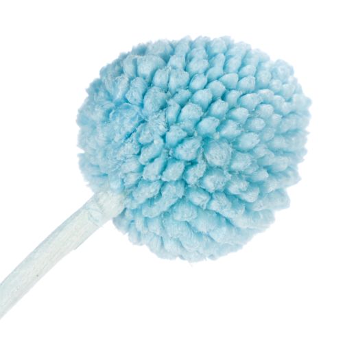 Product Craspedia dried flower decoration for vase, minimalist style, long-lasting summer decoration, 55cm, 20 pieces