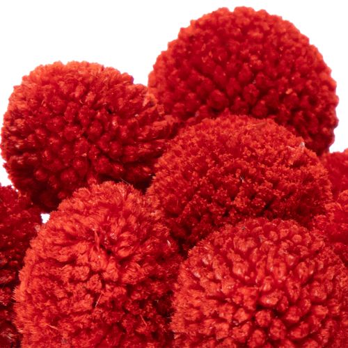 Craspedia Dried Flowers Dyed Red 55cm 20 Stems | Floristik24.co.uk