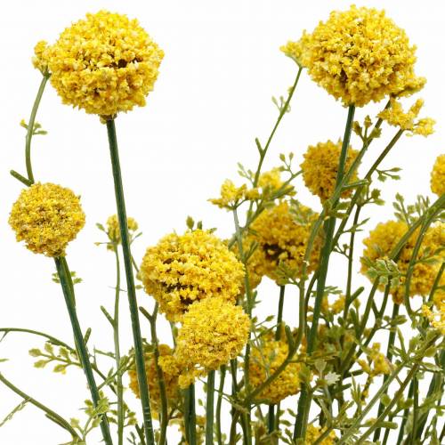 Floristik24 Artificial Craspedia in Bunch Yellow Drumsticks 3pcs