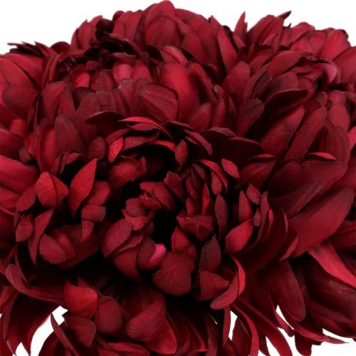Product Chrysanthemum bouquet Bordeaux 28cm 6pcs