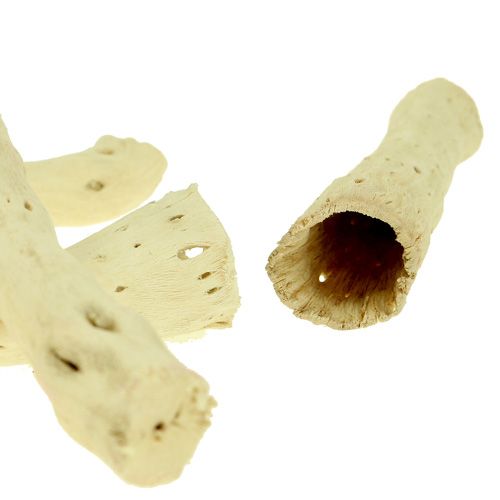Cupy root bleached 350g