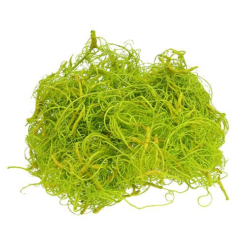 Floristik24 Curly moss light green 350g