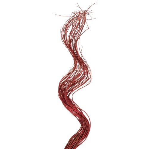 Curly Willow Dried Decorative Branch for Creative Floristry and Home Accessories 80cm 70g