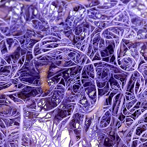 Product Curly Moss Light Violet 350g