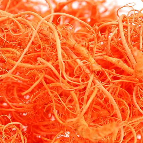 Floristik24 Curly Moss Orange 350g